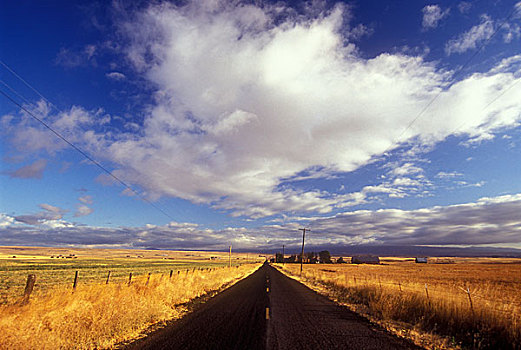 牧场,道路,通过,风景,山谷,华盛顿,美国