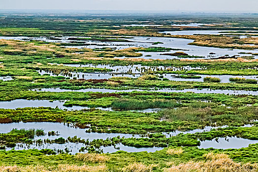 黑龙江省雁窝岛湿地自然景观