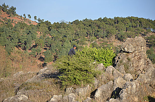 小尖山石林景观