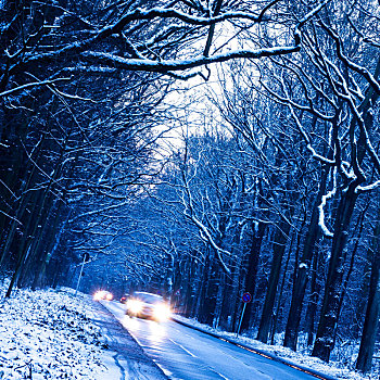 汽车,道路,冬天