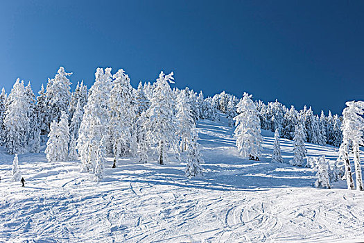 攀升,阿什兰,滑雪胜地,南方,俄勒冈,美国