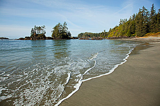 漂亮,海滩,靠近,温哥华岛,不列颠哥伦比亚省,加拿大