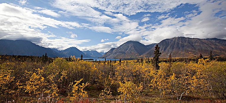 深秋,秋色,秋天,湖,山峦,克卢恩国家公园,自然保护区,育空地区,加拿大
