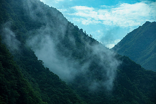 恩施,大山,湖北,山区,云海,云雾,高山,神秘,群山,山峰,鄂西