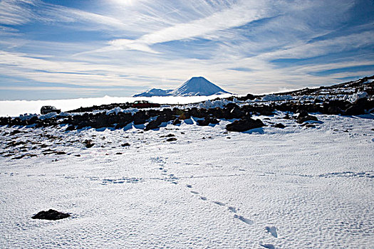 脚步,雪中,山,东加里罗国家公园,中心,高原,北岛,新西兰