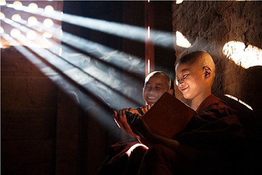 孩子,佛教,新信徒,僧侣,读