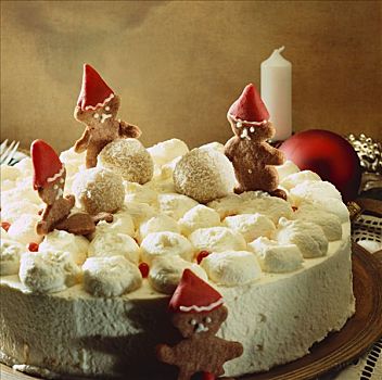 奶油蛋糕,圣诞节,装饰