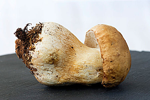 新鲜,蘑菇