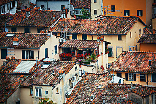 卢卡,屋顶,俯视,意大利