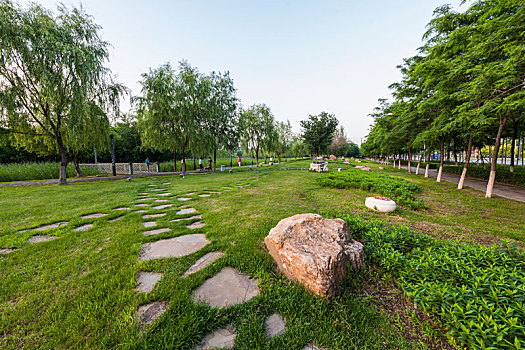 城市绿地