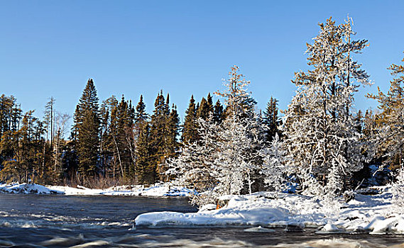 霜,冰,河,桑德贝,安大略省,加拿大