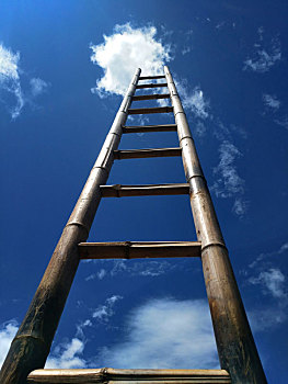 梯子,天梯,创意,素材