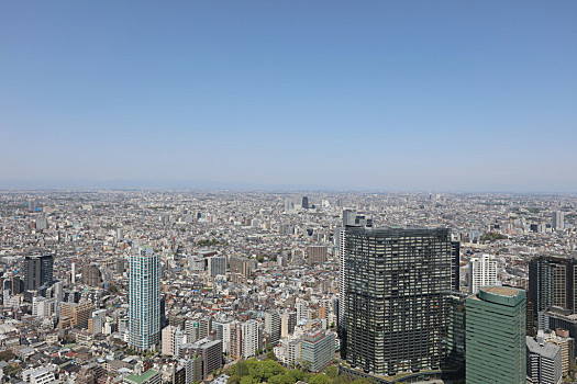 东京,市区,街道,新宿,摩天大楼