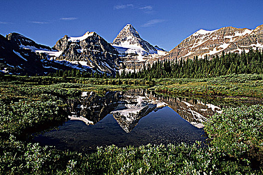 山,反射,山中小湖,省立公园,不列颠哥伦比亚省,加拿大