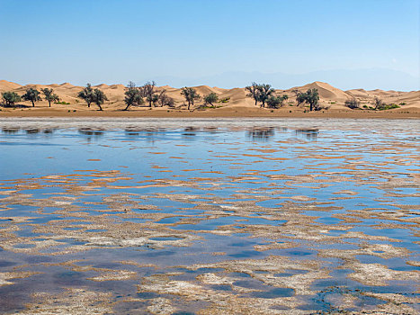 腾格里沙漠天鹅湖