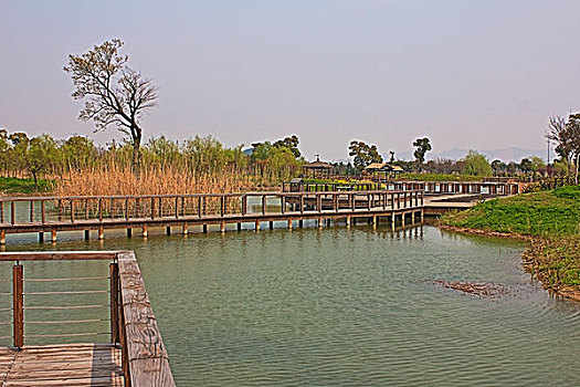 苏州太湖湿地公园风光