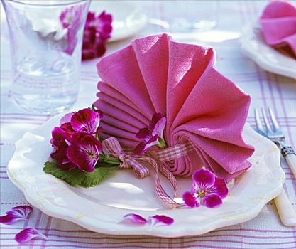 餐巾,折叠,形状,天竺葵,花