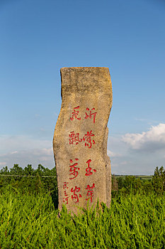 山东临沂,沂蒙山区,乡村茶园中茶文化石刻