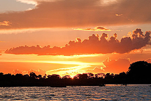 日落,潘塔纳尔湿地,西南部,巴西,南美
