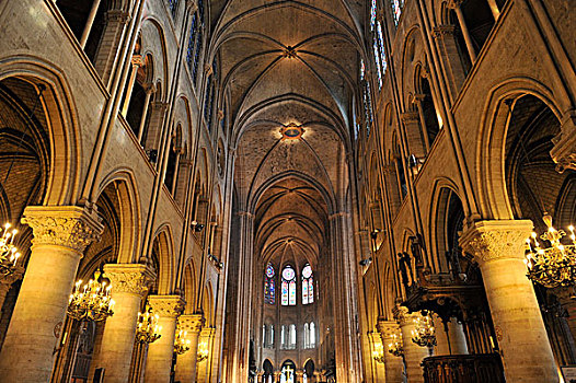 室内,天花板,大教堂,巴黎圣母院,巴黎,法国,欧洲