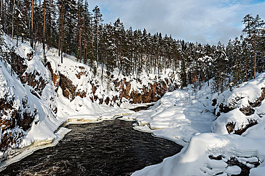 河,国家公园,拉普兰,芬兰,欧洲