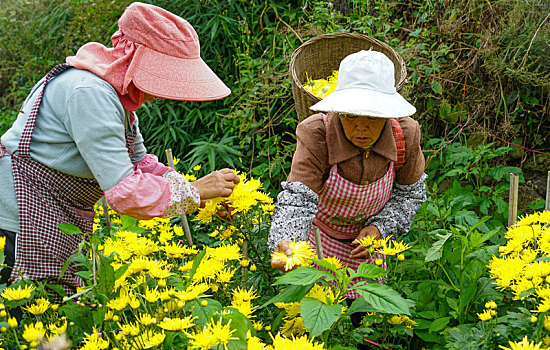 衬塑管材