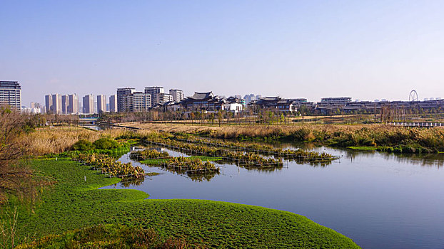 冬日滇池草海湿地公园