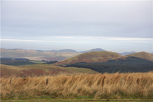 山,风景,苏格兰,边远地区