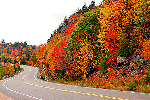 秋天,公路,北安大略,加拿大