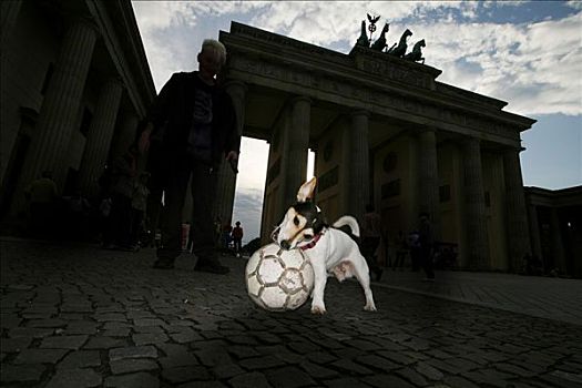 杰克罗素犬,玩,球,正面,勃兰登堡门,夜晚,柏林,德国,欧洲