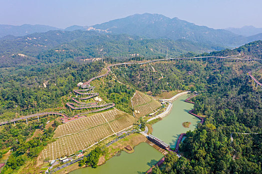 航拍广东珠海香山湖公园香山云道