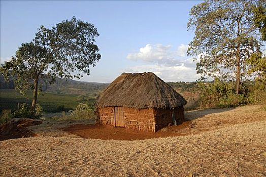 原始,小屋,粘土,枝条,稻草,靠近,坦桑尼亚