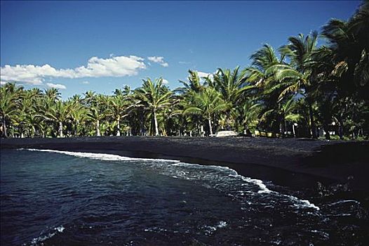 夏威夷,夏威夷大岛,黑沙,海滩,排列,棕榈树,蓝天