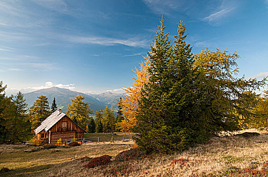 高山,木房子,秋天,伦高,区域,萨尔茨堡,奥地利,欧洲