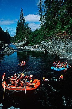 河,命运,温哥华岛,不列颠哥伦比亚省,加拿大