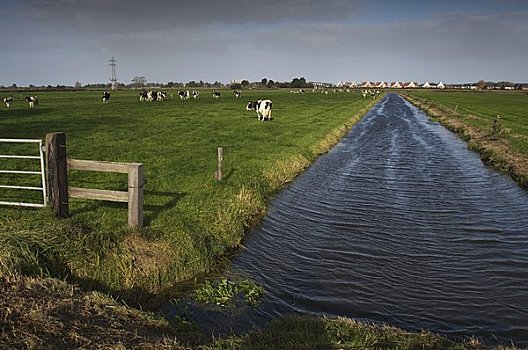 农田,上艾瑟尔省,荷兰