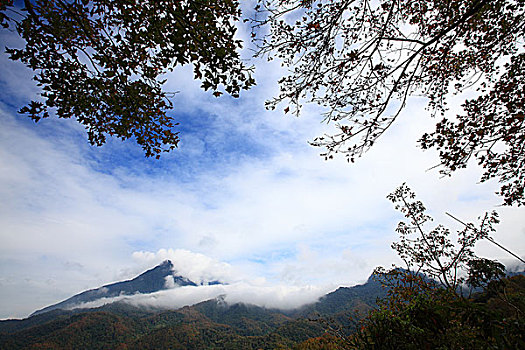 五指山风光