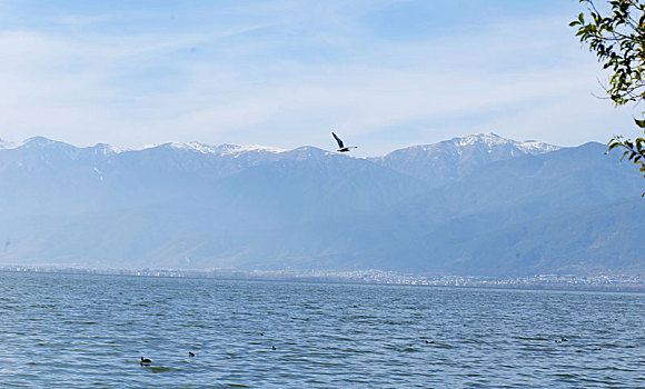 大理苍山洱海