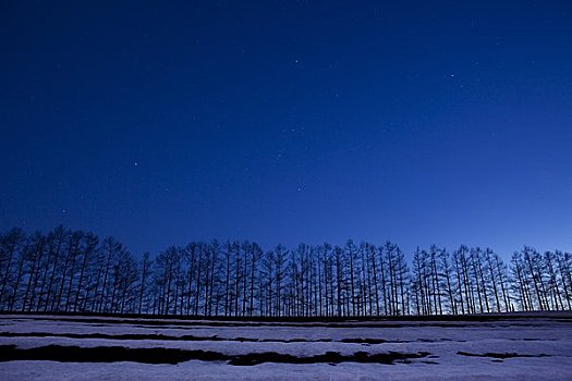 木头,星空