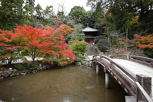 日本京都知恩院