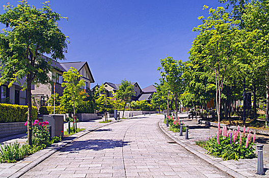 石板路,现代,住宅区