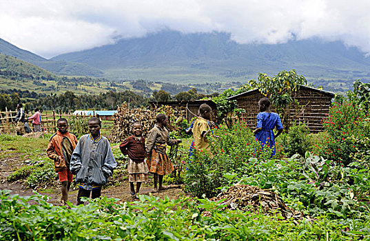 卢旺达,区域,孩子