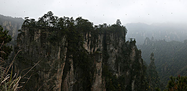 湖南张家界天子山国家森林公园