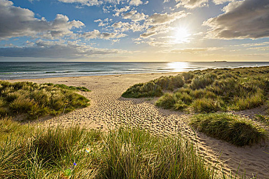 草,沙丘,海滩,太阳,发光,俯视,北海,日出,诺森伯兰郡,英格兰,英国
