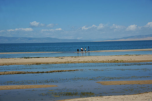 高原明珠青海湖