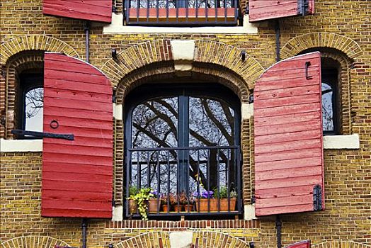 窗户,红色,百叶窗,阿姆斯特丹,荷兰,欧洲