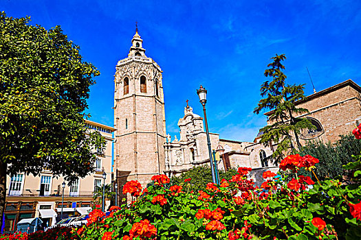 瓦伦西亚,大教堂,塔,西班牙
