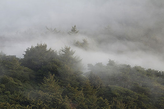 山东泰山风光