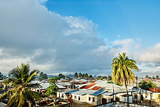 棕榈树,屋顶,桑给巴尔岛,城市,坦桑尼亚,非洲