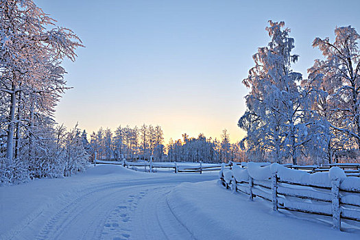 积雪,道路,库萨莫,北方,芬兰